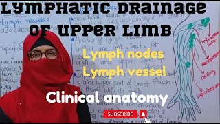 Lymphatic drainage of upper limb  clinical anatomy lymph nodesand vessel ayesha medical education [upl. by Drawyah687]