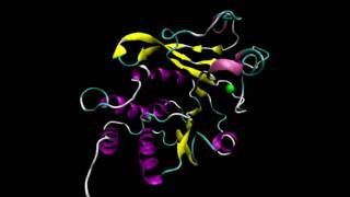 CatecholOMethyl Transferase [upl. by Oicinoid]