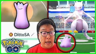 What Happens If We Use a Max Level Ditto Against Mewtwo in Pokemon GO [upl. by Enahs]