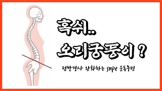 전방경사 완화하는 SNPE 운동루틴  골반교정 [upl. by Potash]