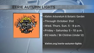 Klehm Arboretum and Botanical Garden Transforms into Eerie Autumn Lights this October [upl. by Lleznod]