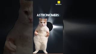 Astronomers vs Astrologers On a Solar Eclipse Day  cat cute comparison andhbhakt blindfaith [upl. by Hoehne814]