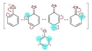 Phenoxide Anion Resonance [upl. by Garnette]