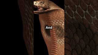 Pangolins The Only Mammals with Scales 🦠🦤 [upl. by Ajam]