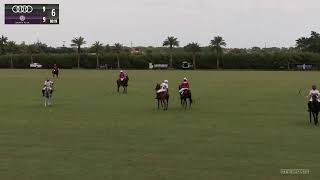 The Eastern Challenge Final  Newport Polo vs SebiLion and Audi vs Santa Rita  May 19th 2024 [upl. by Animsaj545]