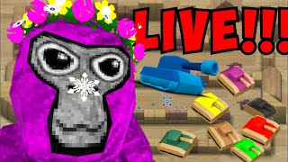 🔴PLAYING WII TANKS🔴 bad idea [upl. by Hcirdla]