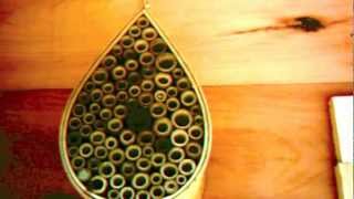 Mason Bee House Time Lapse [upl. by Ilanos]