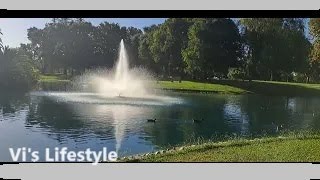 Lakeside park with two islands rainbow water fountain elk grove regional park [upl. by Birdella336]