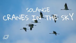 Solange  Cranes In The Sky Lyric Video [upl. by Roch163]