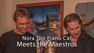 Nora The Piano Cat Meets the Maestros [upl. by Netsyrc]