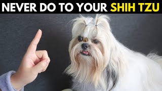 12 Forbidden Actions Every Shih Tzu Owner Must Avoid [upl. by Selmore]