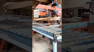 Wood for home depot lumber lumberjack woodmizer logosol norwood youtubeshorts video ytshorts [upl. by Laureen816]