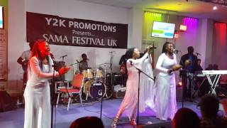 Fungisai Nguva Yekutenfa live from London sama festival 2017 [upl. by Sudnac]