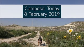 Camposol Today 8 February 2019 camposolspainexpatinmazarron [upl. by Hanoj964]