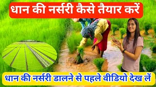 धान की नर्सरी कैसे तैयार करें  Dhan ki nursery kaise taiyar kare  Dhan ki kheti  Paddy nursery [upl. by Joanne]