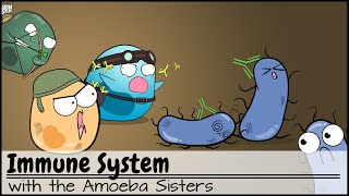 Immune System [upl. by Sofko132]