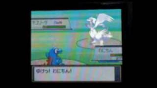 WILD RESHIRAM APPEARS IN SOULSILVER [upl. by Anerb]