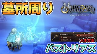 【ユニオバ】バストリアスの墓所周り 墓所の場所とアイテム紹介 [upl. by Willyt274]