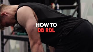 HOW TO  DUMBBELL RDL [upl. by Divadleahcim]