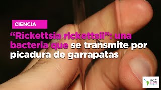 “Rickettsia rickettsii” una bacteria que se transmite por picadura de garrapatas [upl. by Keram]