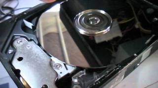 Maxtor 2F020J0 Hard Disk Drive Exposed [upl. by Parker]