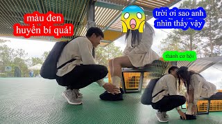 P32  Trâm Anh Khóc Thét Khi Bị Lộ Hàng  GoGo TV Quá Hư Hỏng [upl. by Laflam]