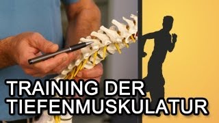 Training der Tiefenmuskulatur für einen starken Rücken [upl. by Yeo]