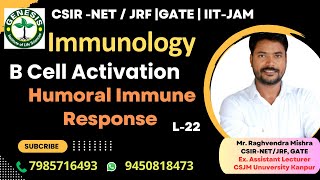 Activation of B Cells  Humoral Immune Response  Immunologygenesisinstitute [upl. by Ynnatirb]