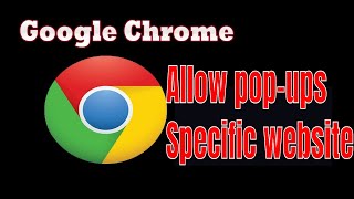 how to allow popups for specific website in google chrome browser [upl. by Duffie]