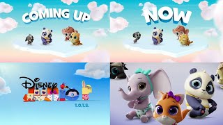 TOTS Nursery Cameras Short Promos Compilation amp Commentary on Disney Junior USA [upl. by Eillas]