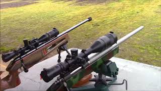 Whos the Boss Gruning Precision vs Steyr 300M CISM [upl. by Capriola]