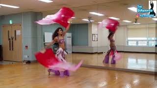 Elements  Lindsey Stirling Fan Veil  Belly Dance 작품 연습 영상 [upl. by Esele]