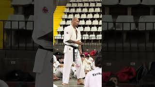 Brazilian kick by the master of the kick Shihan Glaube Feitosa fullcontact [upl. by Enelyt]