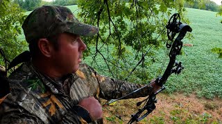 Harvesting the First Venison of 2021  Early Season Archery Deer Hunt [upl. by Eloisa225]