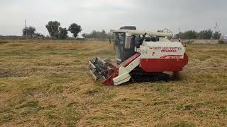 FM WORLD rice combine harvester in field [upl. by Matthiew786]