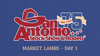 San Antonio 2024  Market Lambs Day 1 [upl. by Aeiram]