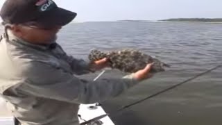 Flounder fishing and Rigging that works best Coastal Georgia [upl. by Merrel]