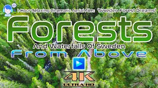 4K Relaxing Cinematic Aerial Film  Sweden Forest Dreams  Study Music  Waterfalls  Piano  2024 [upl. by Enoyrt]