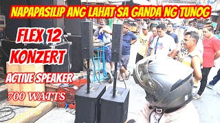 NAPAPASILIP ANG LAHAT SA GANDA NG TUNOG NG FLEX12 PROFESSIONAL ACTIVE SPEAKER 700W [upl. by Silbahc]