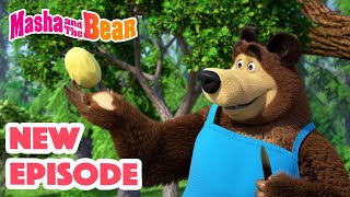 Masha and the Bear 2024 🎬 NEW EPISODE 🎬 Best cartoon collection 🥔 Soup Pursuit 🥕🍲 [upl. by Otreblada]