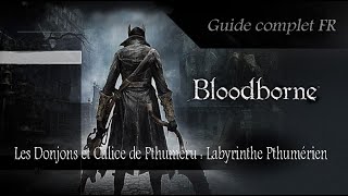 Bloodborne Guide FR Tutos Les Donjons Calices dans Bloodborne [upl. by Yror924]