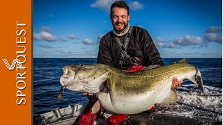 Giant Skrei Cod Fishing in the Norwegian Sea Havoysund Norway 🇳🇴 [upl. by Eivol]