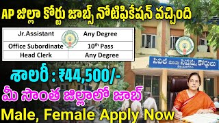 జిల్లా కోర్టుఉద్యోగాలు విడుదల  AP District Cout Jobs 2024  Latest Jobs In Telugu  Court Jobs 2024 [upl. by Natal]