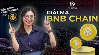 Giải mã tiềm năng tăng trưởng của BNB CHAIN  Dự án được bảo chứng bởi sàn Binance [upl. by Caron]