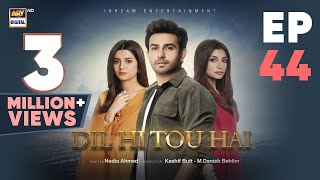 Dil Hi Tou Hai Episode 44  Ali Ansari  Zoya Nasir  20 Nov 2023  ARY Digital [upl. by Devy]