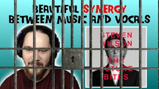 ComposerMusician Reacts to Steven Wilson  PERSONAL SHOPPER REACTION BLOCKED [upl. by Immas108]