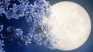 Mays Full Flower Moon [upl. by Adner]