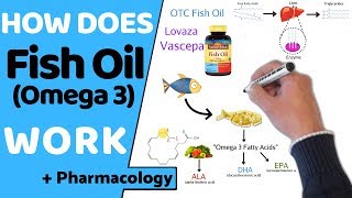 How Does Fish Oil Work  Pharmacology [upl. by Irrahs]