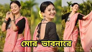 মোর ভাবনারে কি হাওয়ায় মাতালো  mor vabonare ki haoyay matalo [upl. by Alil]