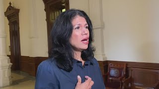 Texas Sen Alvarado says she wore back brace didnt drink water during filibuster [upl. by Nnylorac]